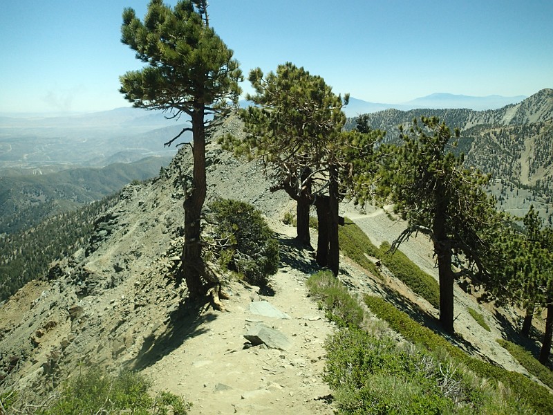 2014 Mt Baldy Cali 108.JPG - Summit Mt San Antonio (Mt Baldy) California